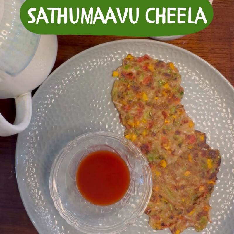 Sathumaavu | 50 Gms Trial Pack| Multigrain Cereal for weight gain |