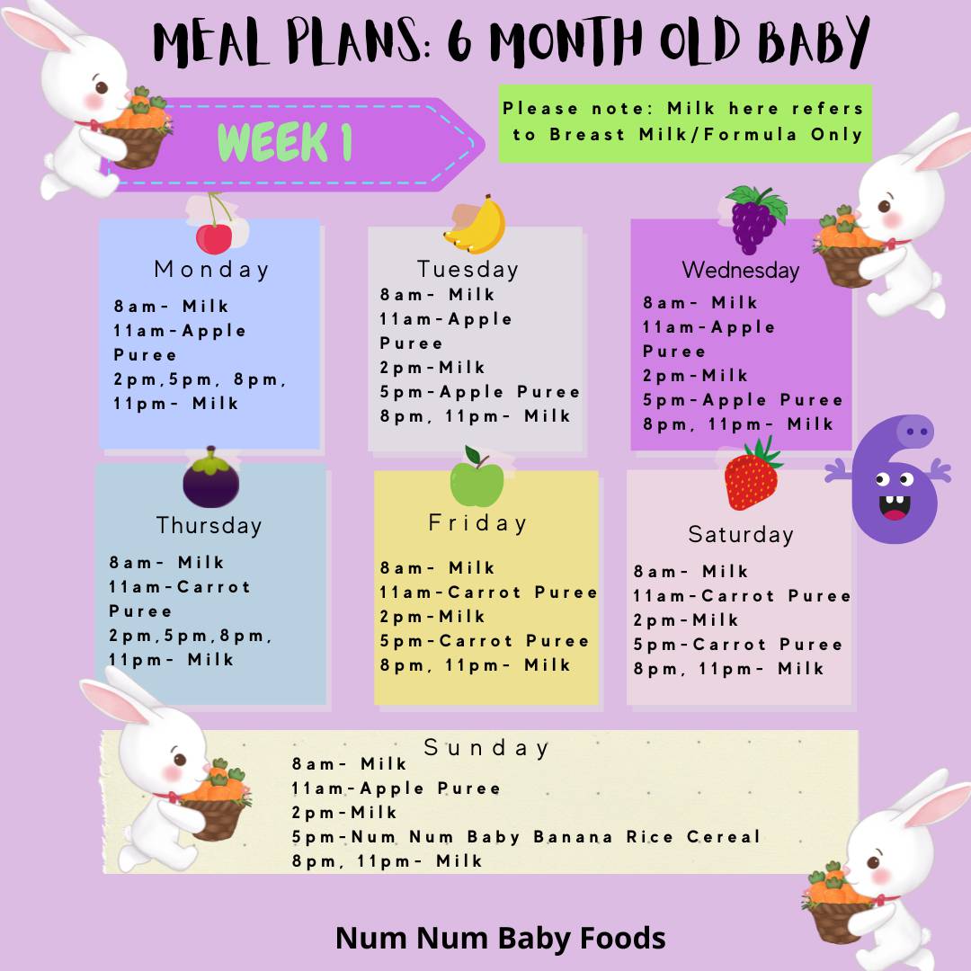 starting-solids-and-meal-plans-for-6-month-old-baby-with-meal-charts