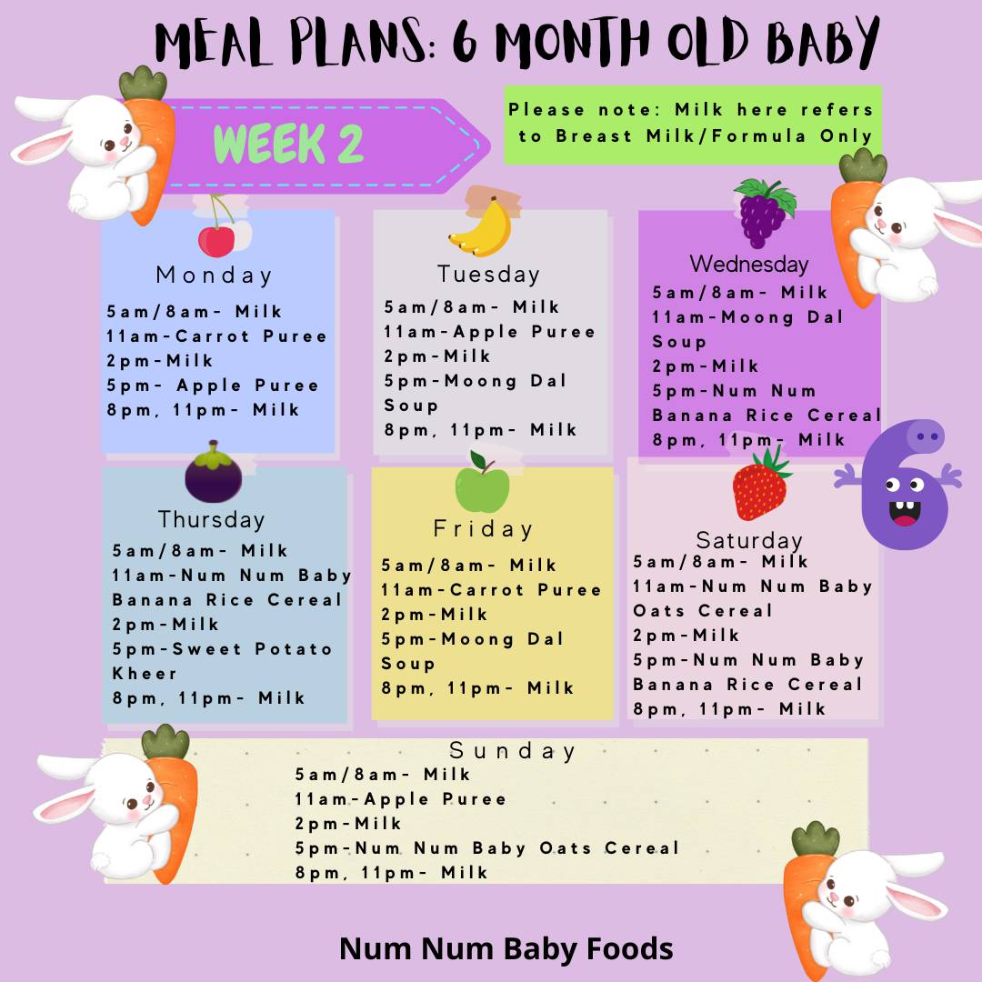 Starting Solids And Meal Plans For 6 month old Baby with Meal Charts 