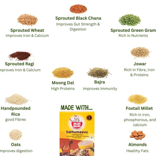 Multigrain Cereals Trial Pack Combo of 6 (50 Gms Each) - Image 3